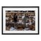 Stupell Industries Arches Horse Pair in Snow Framed Print Under Glass, design by Jeff Poe Photography